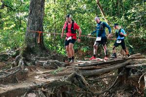 BIB: 
                            <button type="button" onclick="openModal(27557587)" class="btn btn-primary btn-sm float-right btn-popup" data-toggle="modal" data-target=".modal-high-quality">
                        <i class="fas fa-shopping-cart"></i> Add to Cart
                    </button>
                                            <button type="button" onclick="isThisMe(27557587, true)" class="btn btn-success btn-sm float-right btn-popup btn-isme hidden" data-toggle="tooltip" data-placement="bottom" title="นี่คือรูปของคุณใช่ไหม คลิกที่นี่เพื่อเอาเข้าอัลบั้ม">
                        <i class="fas fa-plus"></i> Add to album
                    </button>
                    <button type="button" onclick="isThisMe(27557587, false)" class="btn btn-warning btn-sm float-right btn-popup btn-isnotme hidden">
                        <i class="fas fa-ban"></i> Remove from album
                    </button>